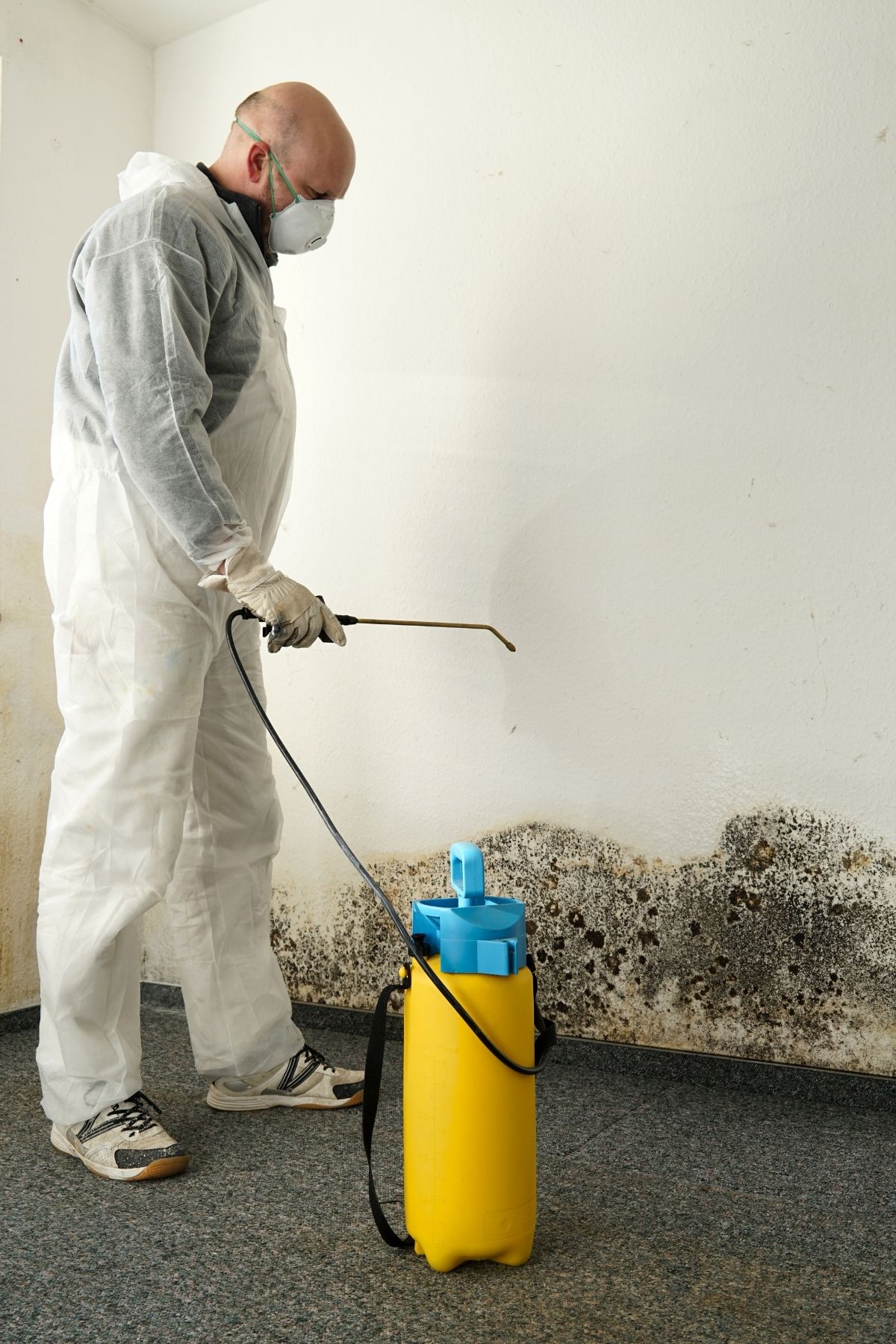 Intervention après dégât d’eau et moisissure dans une maison à Les Cèdres