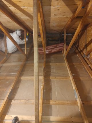 Décontamination d’un sous-sol touché par la mérule pleureuse  à Saint-Hubert