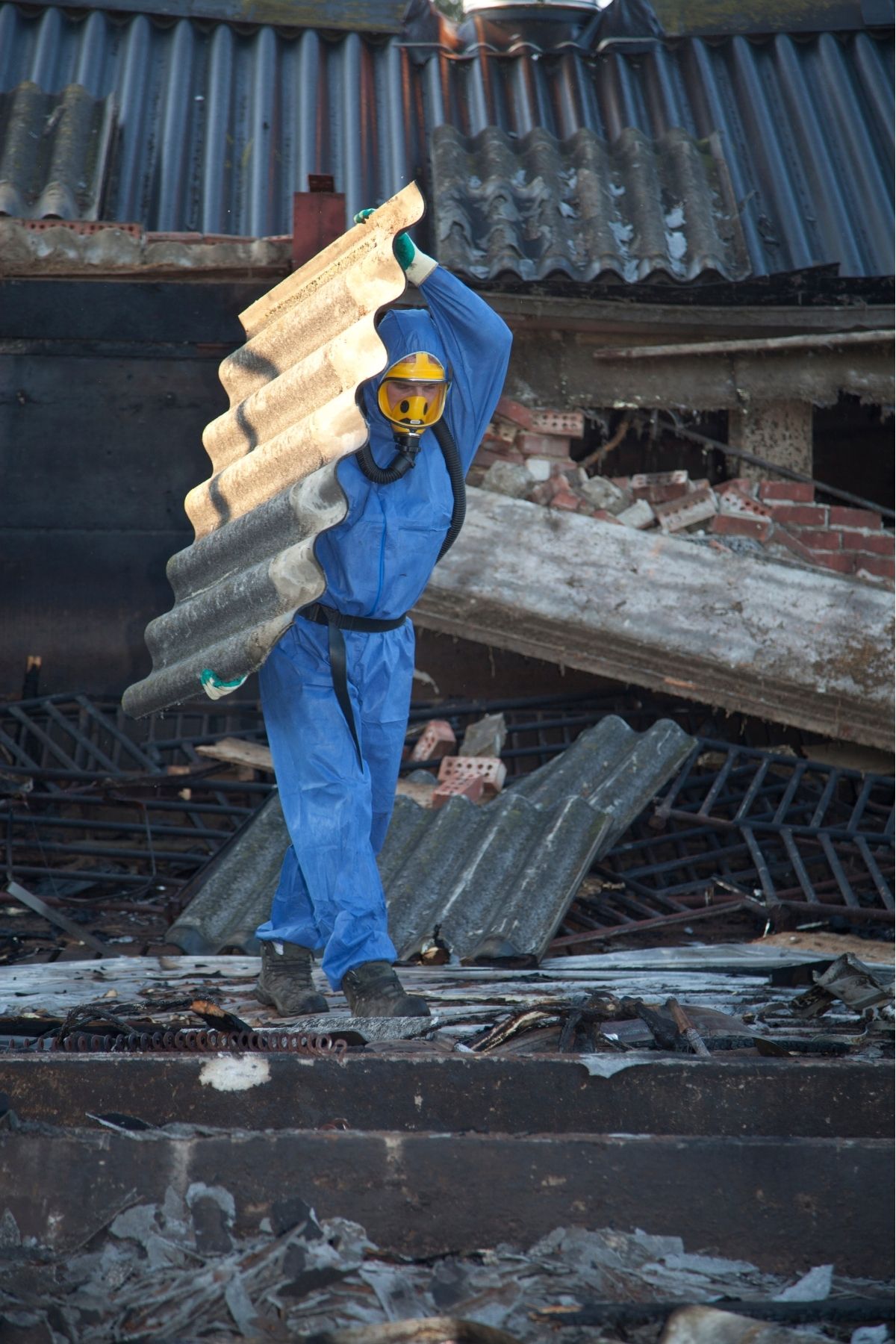 Décontamination d’un sous-sol touché par la mérule pleureuse à Saint-Lin-Laurentides